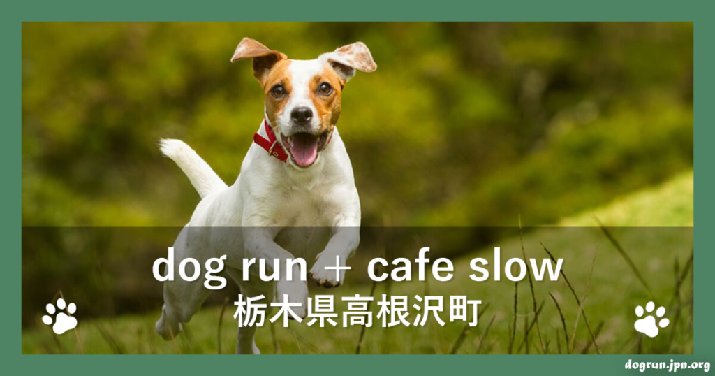dog run + cafe slow（栃木県高根沢町）
