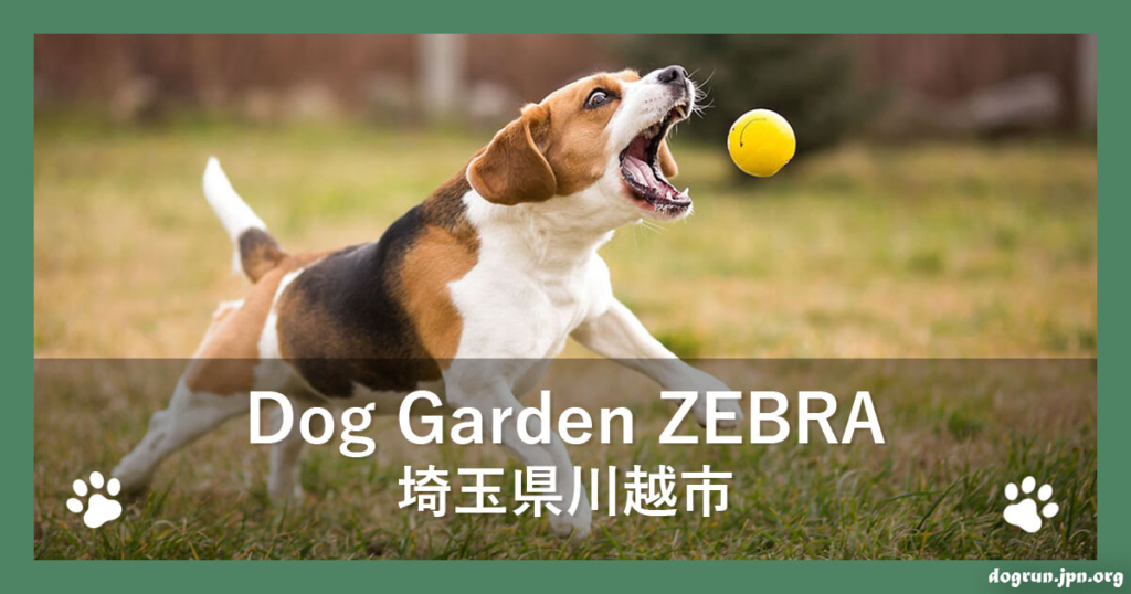 Dog Garden ZEBRA（ドッグガーデン ゼブラ）（埼玉県川越市）
