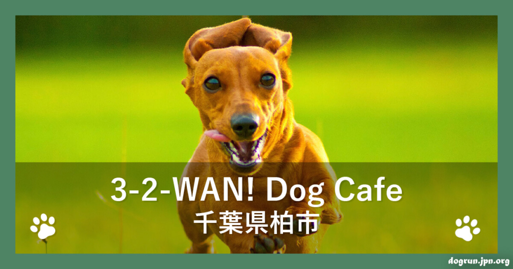 3-2-WAN! Dog Café（千葉県柏市）