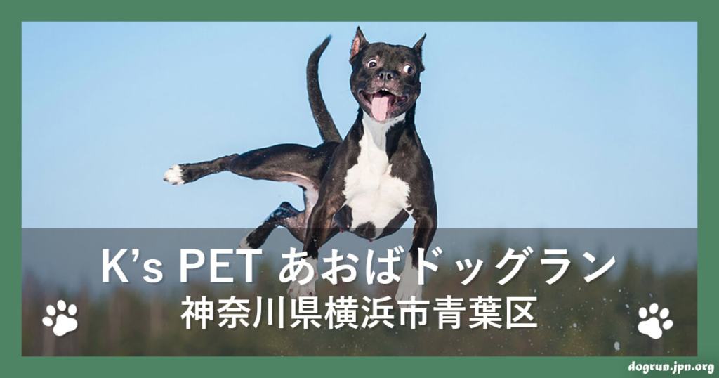 K's PET あおばドッグラン（神奈川県横浜市青葉区）