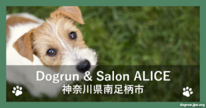Dogrun & Salon ALICE（アリス）（神奈川県南足柄市）