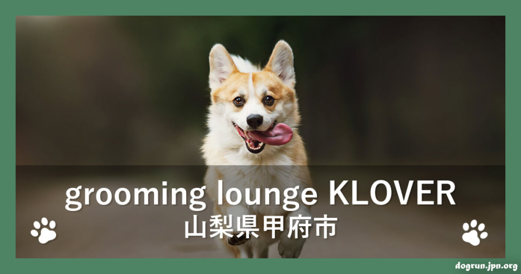 grooming lounge KLOVER（グルーミングラウンジクローバー）（山梨県甲府市）