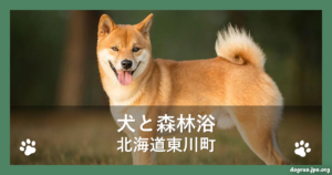 犬と森林浴（北海道東川町）