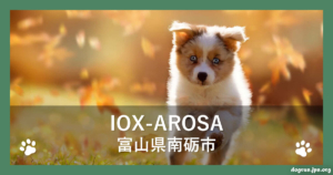 IOX-AROSA（イオックス・アローザ）（富山県南砺市）