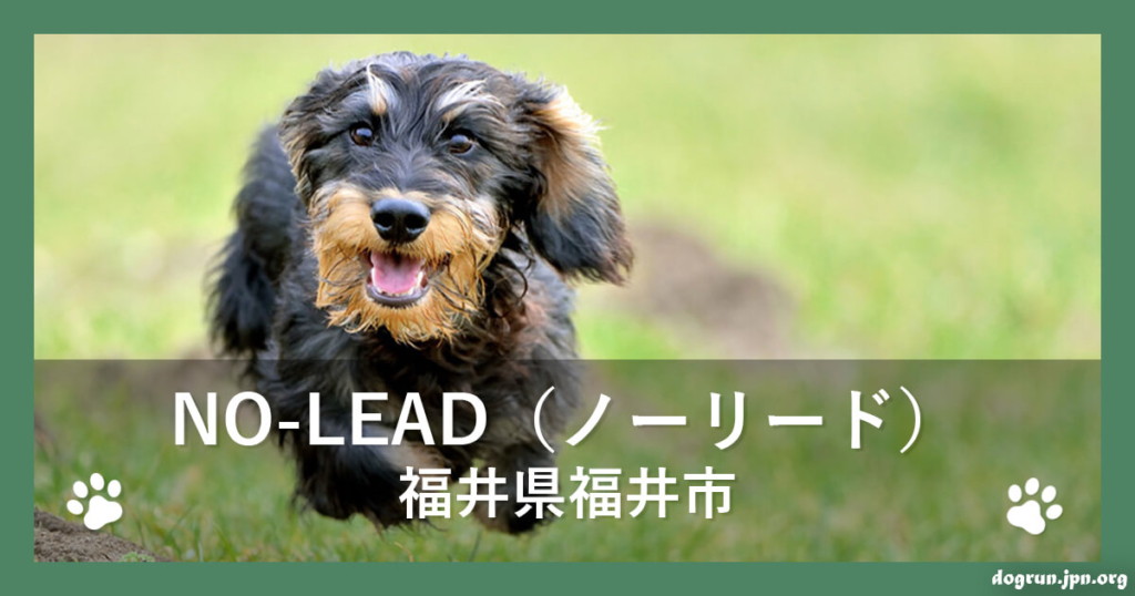 NO-LEAD（ノーリード）（福井県福井市）