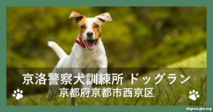 京洛警察犬訓練所 ドッグラン（京都府京都市西京区）
