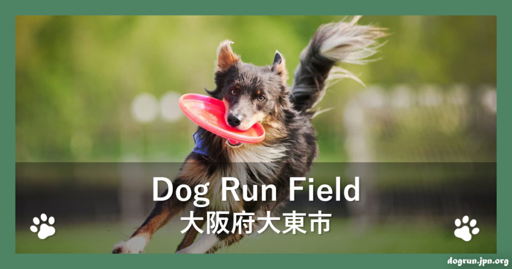 Dog Run Field（ドッグランフィールド in 大阪）（大阪府大東市）