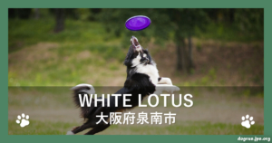 WHITE LOTUS（ホワイト ロートス）（大阪府泉南市）