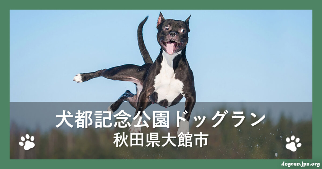 犬都記念公園ドッグラン（秋田県大館市）