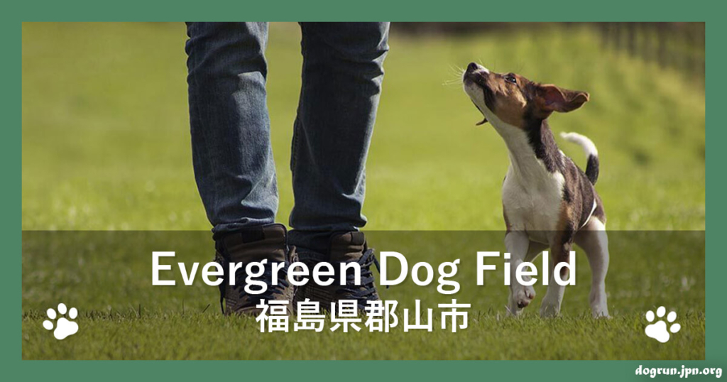 Evergreen Dog Field（福島県郡山市）
