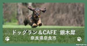 ドッグラン＆CAFE  銀木犀（ぎんもくせい）（奈良県奈良市）