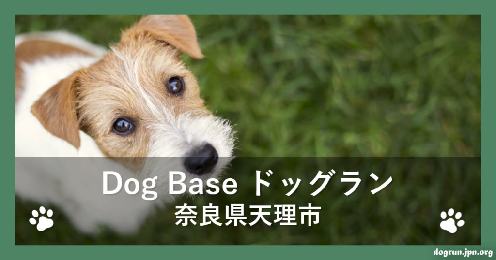 Dog Base ドッグラン（奈良県天理市）