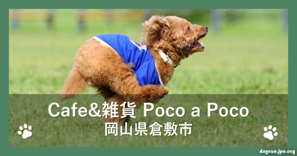 Cafe&雑貨 Poco a Poco（ポコアポコ）（岡山県倉敷市）