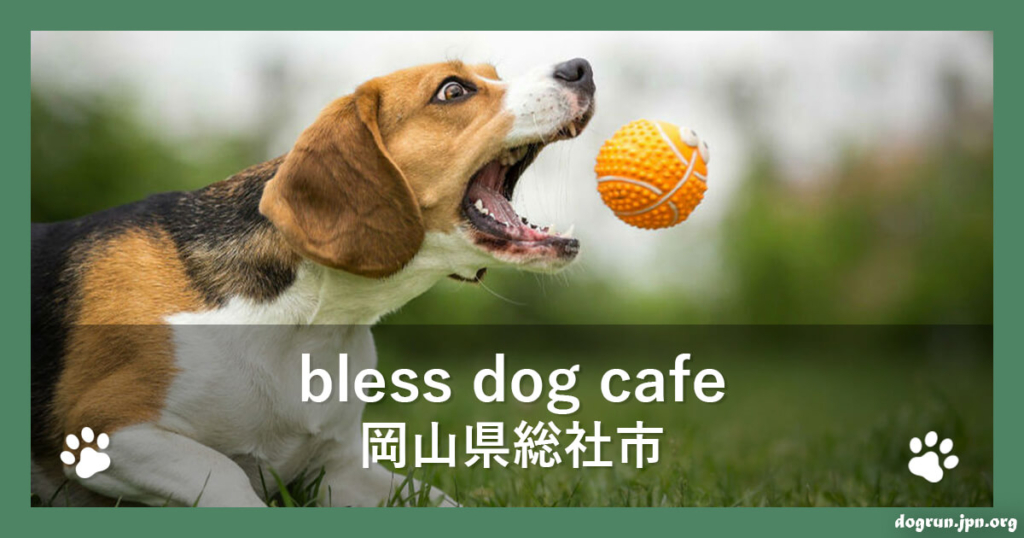 bless dog cafe（ブレスドッグカフェ）（岡山県総社市）