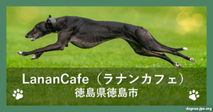 LananCafe（ラナンカフェ）（徳島県徳島市）