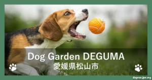 Dog Garden DEGUMA（でぐま）（愛媛県松山市）