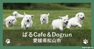 ぱるCafe＆Dogrun（愛媛県松山市）