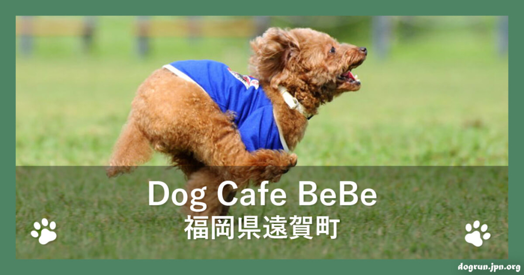 Dog Cafe BeBe（福岡県遠賀町）