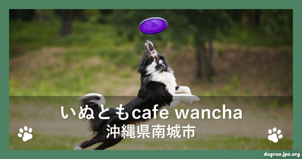 いぬともcafe wancha（沖縄県南城市）