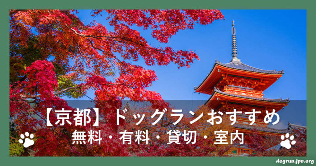 【京都】ドッグランおすすめ12選～無料・有料・貸切・室内