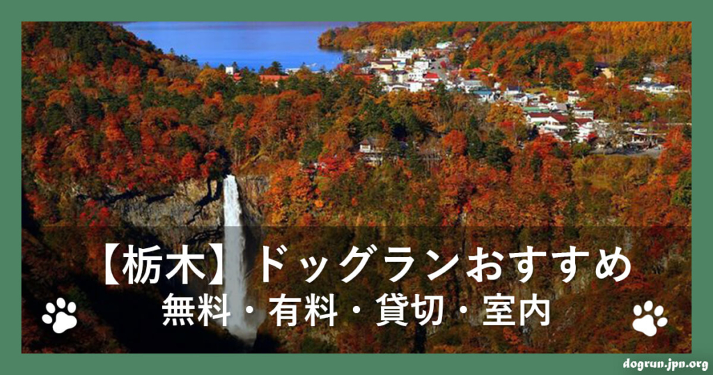 【栃木】ドッグランおすすめ40選～無料・有料・貸切・室内